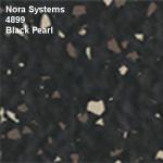 NS-4899-BlackPearl.png