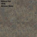 WA-1856AfricanSlate.jpg